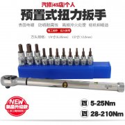 0-3000N.mԤŤذ/ɵʽԤŤذ/